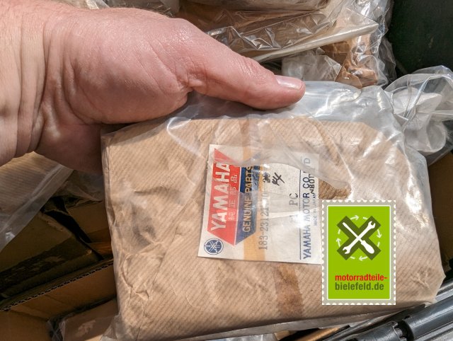 PXL_20240508_125425874